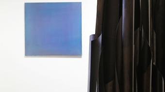 Vue de l'exposition d'Aliénor Welschbillig et de Félix Bressieux, © photographie : Carole Bell / Ville de Troyes.