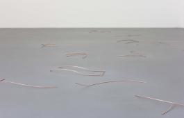 Joana Escoval, Impossible obéissance, vue de l’exposition Lichens Nevers Lie, La Criée centre d’art contemporain, Rennes, 2016      production : La Criée centre d’art contemporain, Rennes      photo : Benoît Mauras