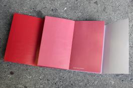 Matthieu Saladin « La Popularité des conflits », publié par les Éditions Incertain Sens et le BBB centre d'art, 2019. Conception graphique: Huz & Bosshard 