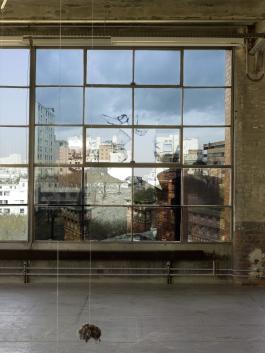 Vue de l’exposition Hugues Reip, L’Évasion, Centre d’art contemporain d’Ivry – le Crédac, 2018. Du premier au second plan : Black Sheeps, 2014. Courtesy de l’artiste et Le Carré, Scène nationale et Centre d’art contemporain du pays de Château-Gontier ; Windowblow, 2018. Courtesy de l’artiste. Photo : André Morin / le Crédac. © Hugues Reip / ADAGP, Paris, 2018. 