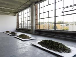 Vue de l’exposition Shimabuku, Pour les pieuvres, les singes et les Hommes, Centre d’art contemporain d’Ivry – le Crédac, 2018. Shimabuku, Ivry Earth, Water and Sunlight, 2018. Photo : André Morin / le Crédac. © Shimabuku. Air de Paris, Paris