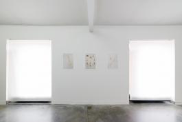 Echoes, Uriel Orlow Vue de l'exposition Theatrum Botanicum : The memory of trees - Parc Saint Léger Centre d'art Crédit photo : Aurélien Mole