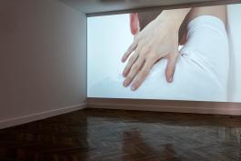  Felix Melia Shoulder Blades, 2016 Vidéo, 25’40’’ Commissionné par Serpentine Galleries, London Version française : production La Galerie avec le soutien de Fluxus Art Projects Voix de Dune Cherville et Laurent Isnard enregistrées à Nova Pista, 2016 Traduction Gauthier Lesturgie Courtesy de l’artiste Photo : Pierre Antoine, 2016