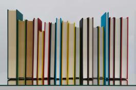 Jorge Mendez Blake, Borges' Bookshelf II. Crédit La Kunsthalle Mulhouse