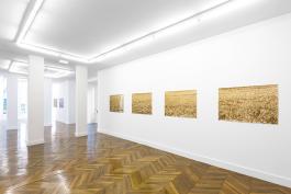 Pierre Joseph Photographies sans fin : champ de blé 1 et 2, 2016 Tirage lambda sur papier argentique  Plus ou moins 9 et 12 photographies Courtesy galerie Air de Paris  Photo: Pierre Antoine, 2016