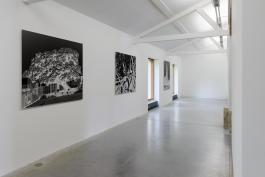 The memory of trees, Uriel Orlow Vue de l'exposition Theatrum Botanicum : The memory of trees - Parc Saint Léger Centre d'art Crédit photo : Aurélien Mole
