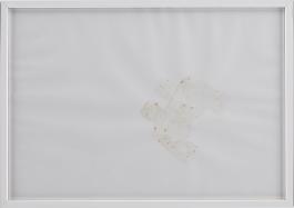Shilpa Gupta, Untitled [Sans titre], 2017, papier, pigment extrait de marijuana. Courtesy : Shilpa Gupta et Galerie CONTINUA, San Gimignano / Beijing / Les Moulins / Habana. Vue de l’exposition Drawing in the Dark, CAC - la synagogue de Delme, 2017. Photo : O.H. Dancy. 